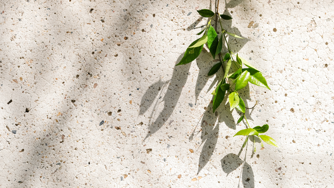 Transforming Concrete Surface Prep: The Impact of Innovative Concrete Acid Etching Products